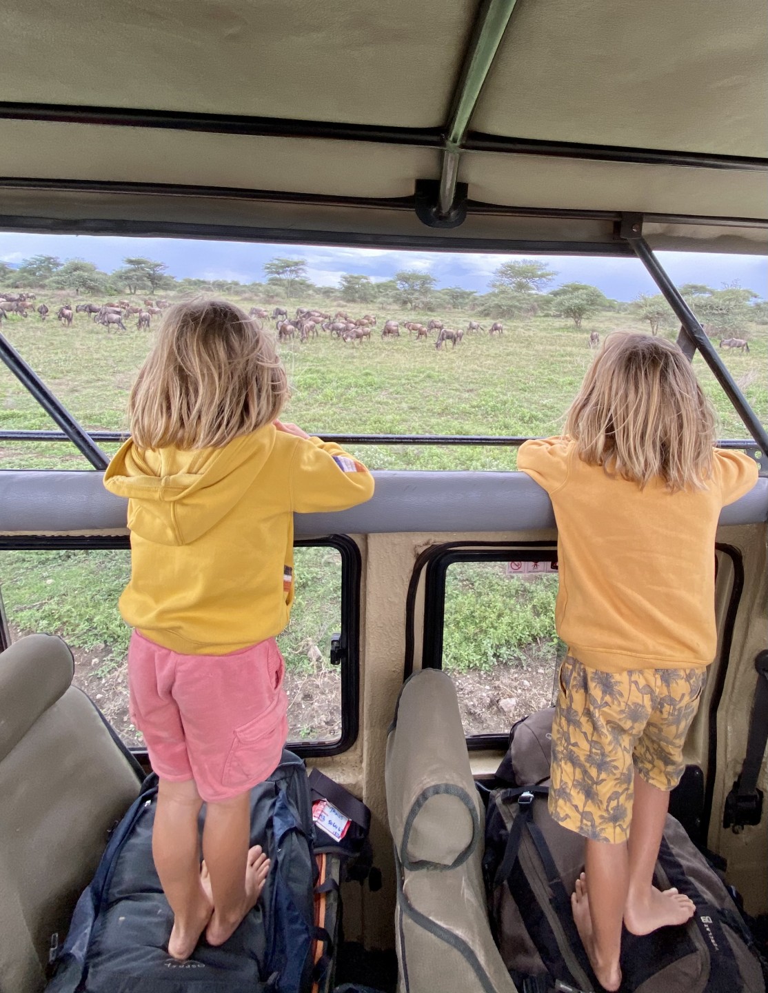 voyage safari enfants